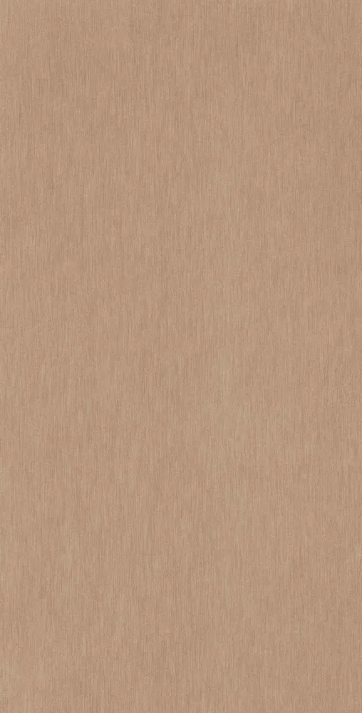 Bronze Brushed